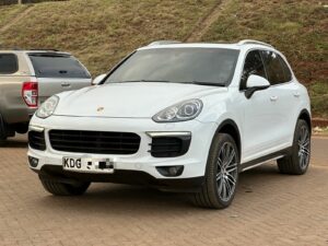 2015 Porsche Cayenne 3.6L V6 Platinum Edition — photo 3