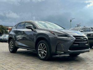 2016 Lexus NX 200t — photo 1