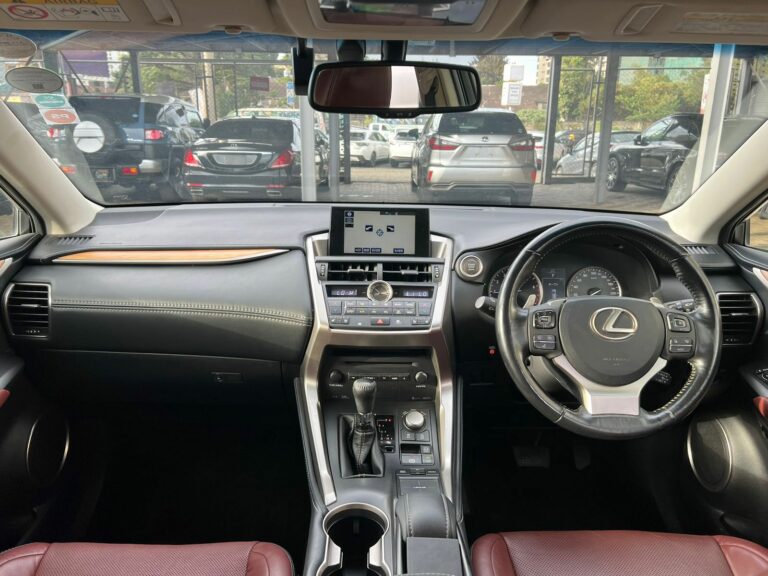 2016 Lexus NX 200t — photo 9