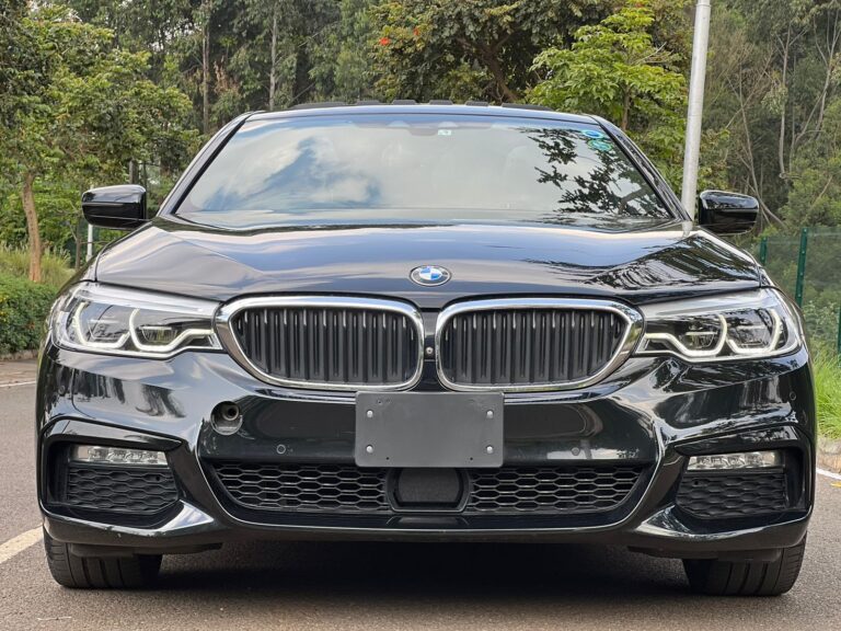 2017 BMW 5 Series 530i M-Sport — photo 6