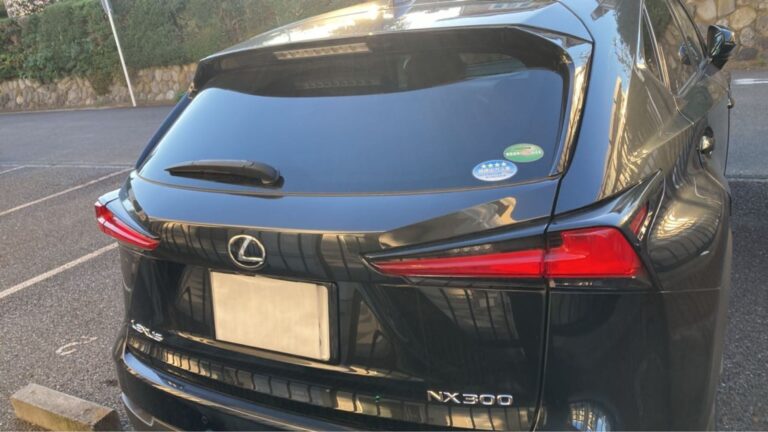 2018 Lexus NX300 F-Sport — photo 6