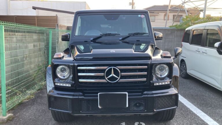 2018 Mercedes-Benz G-Wagon 350d — photo 3