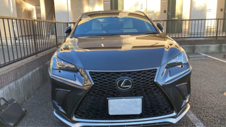 2018 Lexus NX300 F-Sport — photo 8