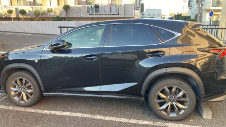 2018 Lexus NX300 F-Sport — photo 9