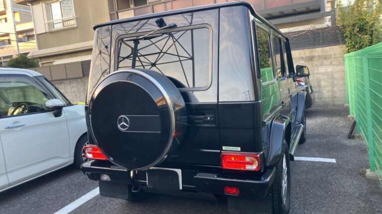 2018 Mercedes-Benz G-Wagon 350d — photo 7