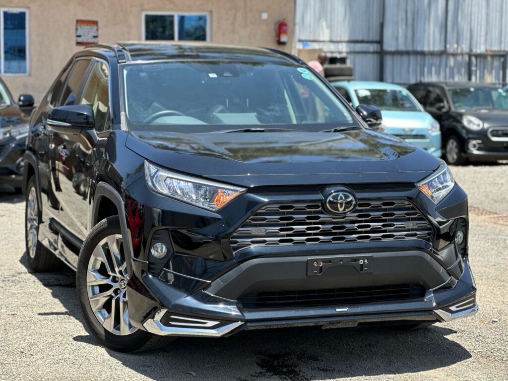 2019 Toyota RAV4