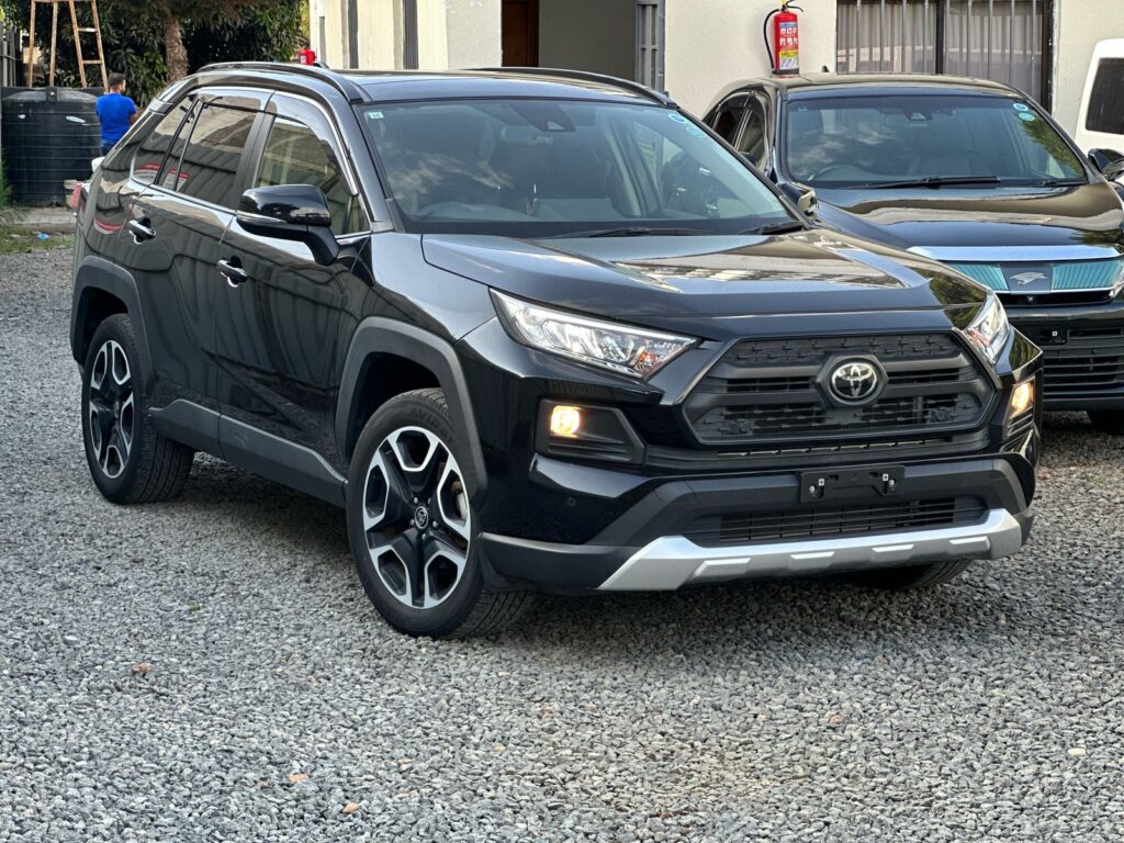 2019 Toyota RAV4