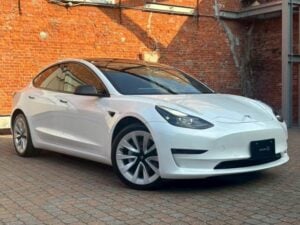 2021 Tesla Model 3 — photo 1