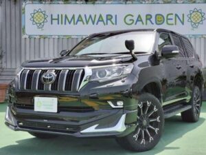 2019 TOYOTA PRADO TX — photo 3