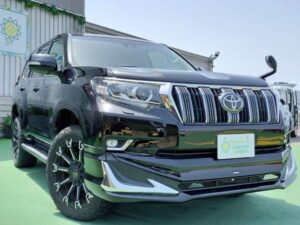 2019 TOYOTA PRADO TX — photo 1