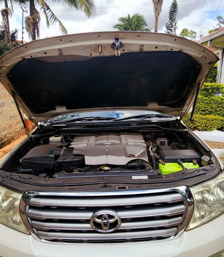 2009 Toyota Landcruiser ZX — photo 5
