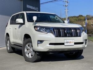 2019 TOYOTA PRADO TX