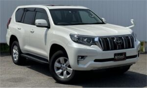 2019 Toyota Prado TXL