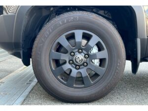 2024 Toyota Prado TRJ250W VX — photo 2