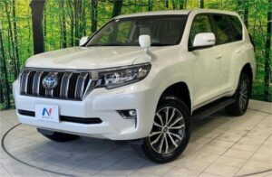 2019 TOYOTA PRADO TX.L
