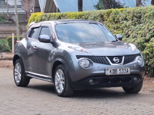 2013 Nissan Juke — photo 1