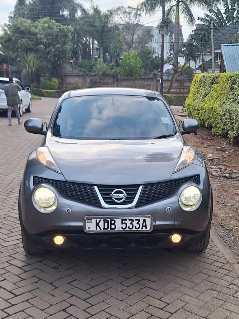 2013 Nissan Juke — photo 3