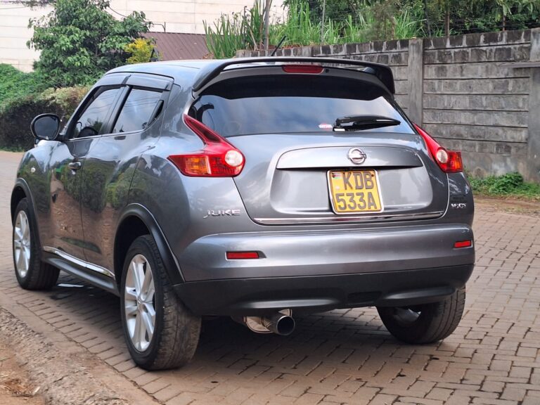 2013 Nissan Juke — photo 5