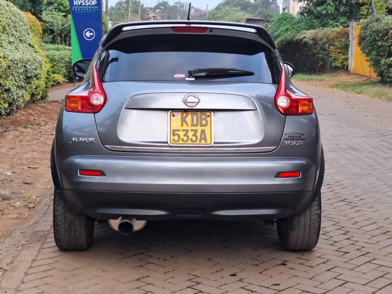 2013 Nissan Juke — photo 6