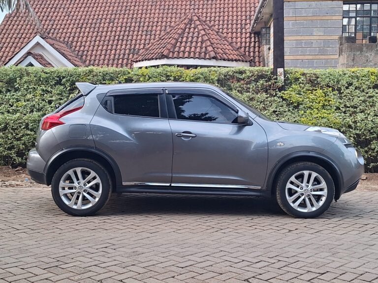 2013 Nissan Juke — photo 7