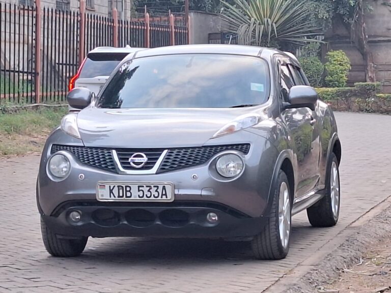 2013 Nissan Juke — photo 8