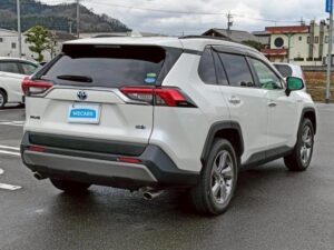 2019 Toyota RAV4 Hybrid G — photo 2