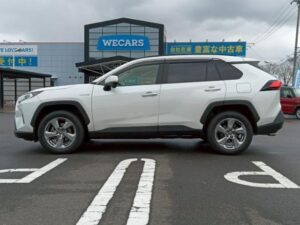 2019 Toyota RAV4 Hybrid G — photo 3