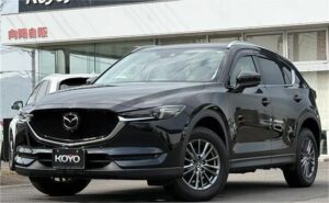 2019 Mazda CX-5 25S