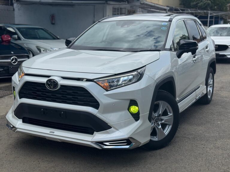 2019 Toyota RAV4 — photo 3