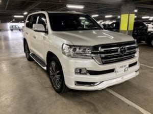 2019 Toyota Landcruiser ZX Bruno