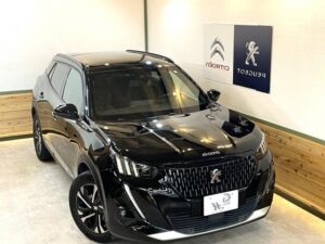 2020 Peugeot 2008 GT
