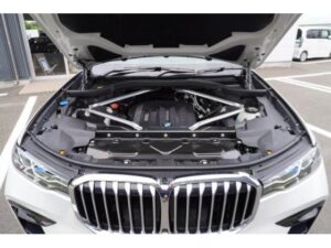 2020 BMW X7 xDrive35d M Sport — photo 2
