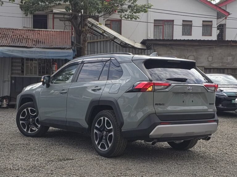 2019 Toyota RAV4 Adventure — photo 2
