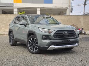 2019 Toyota RAV4 Adventure — photo 1