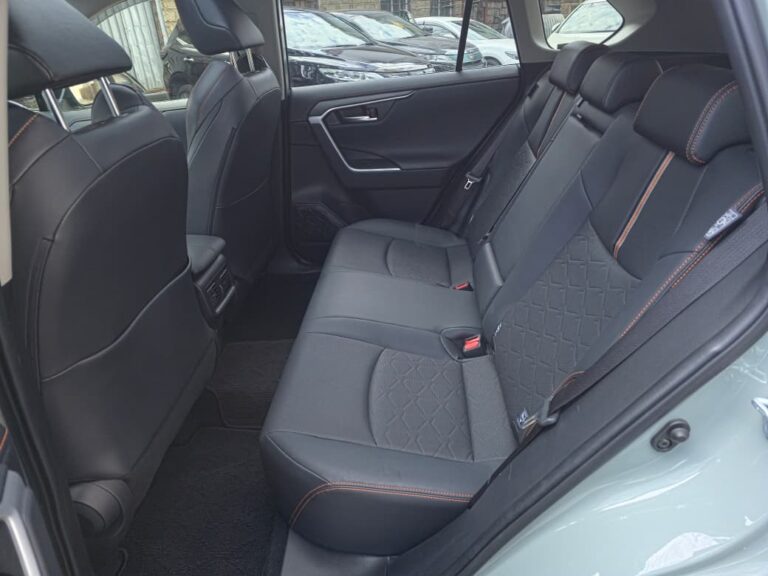 2019 Toyota RAV4 Adventure — photo 5