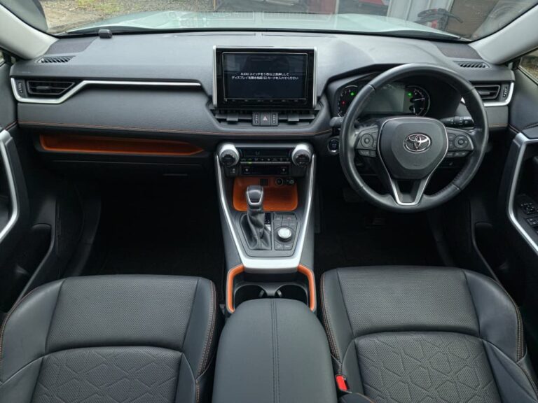2019 Toyota RAV4 Adventure — photo 8
