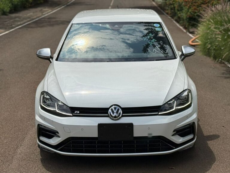 2018 Volkswagen Golf R MK7.5 — photo 7