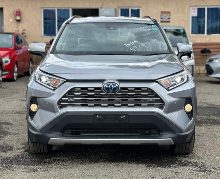 2019 Toyota RAV4 Hybrid — photo 5