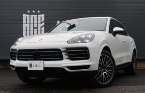 2019 Porsche Cayenne Base Grade — photo 2