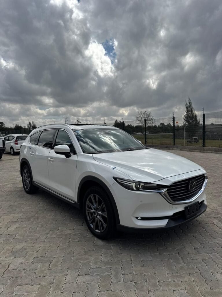 Mazda CX8 201