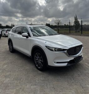 2019 Mazda CX-8 Diesel — photo 1