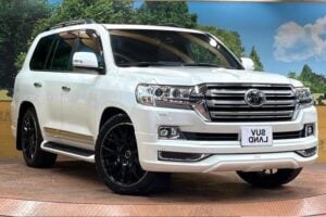 2019 Toyota Land Cruiser ZX
