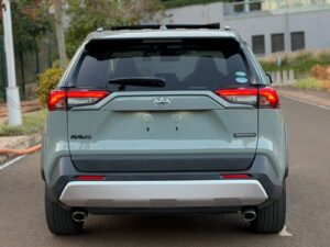 2019 Toyota RAV4 Adventure — photo 2