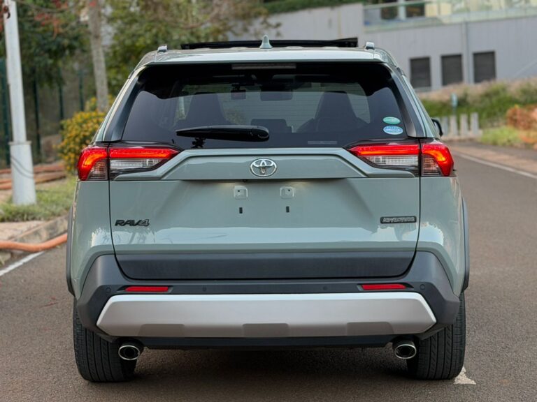 2019 Toyota RAV4 Adventure — photo 2