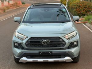 2019 Toyota RAV4 Adventure — photo 4