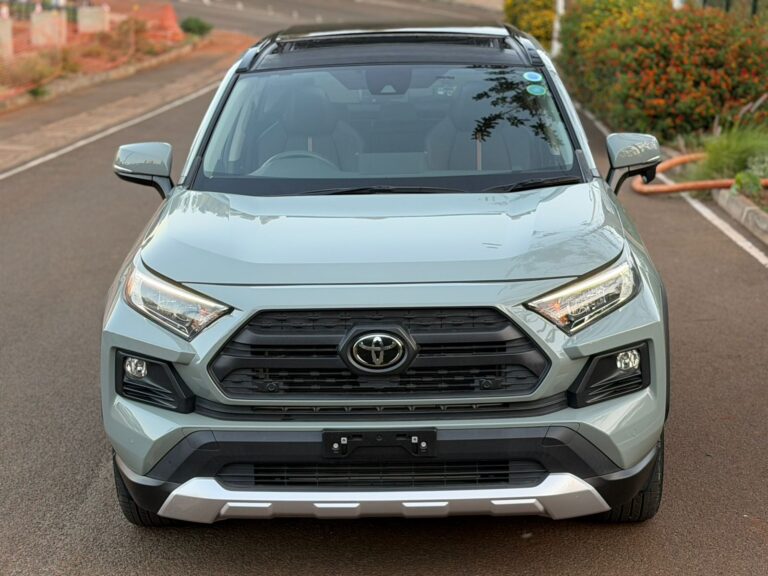 2019 Toyota RAV4 Adventure — photo 4
