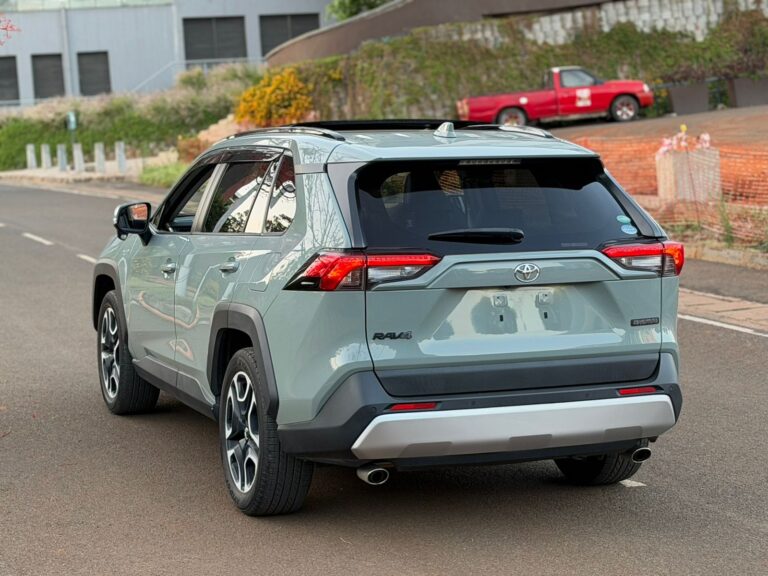 2019 Toyota RAV4 Adventure — photo 9