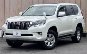 2019 Toyota Land Cruiser Prado TX 2.7L