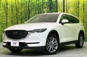 2019 Mazda CX-8 XD ProActiv 2.2D — photo 2