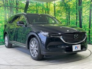2019 Mazda CX-8 XD ProActiv 2.2D